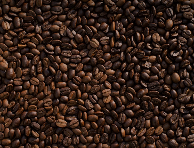 Barista crafting specialty pour-over coffee